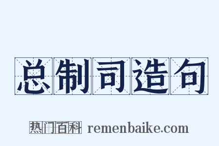 总制司造句是什么意思的图片